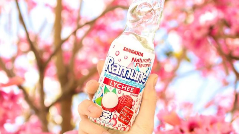 Minuman-Minuman Terenak Yang Khas Dari Jepang